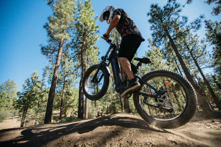 Freesky Alaska Pro M-520 Ebike