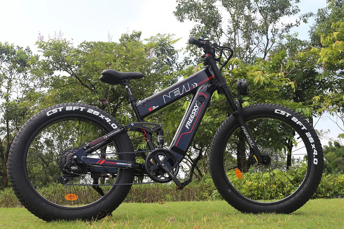 How to Maintain Your FREESKY eBike: swift horse on the grass